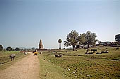 Khajuraho - Javari temple 